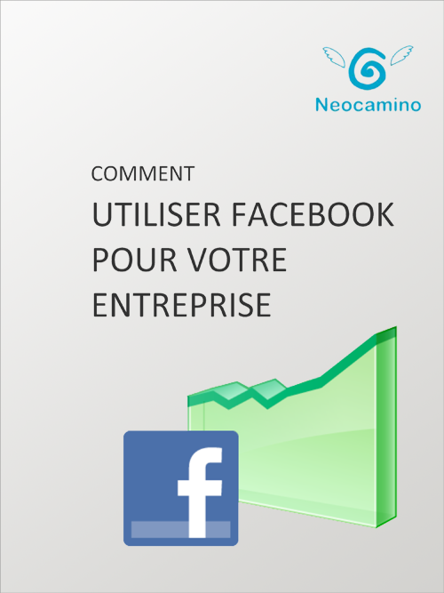 Cr Er Une Publicit Sur Facebook En Tapes Par Neocamino